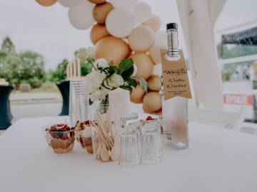 Delta Audio Entertainment